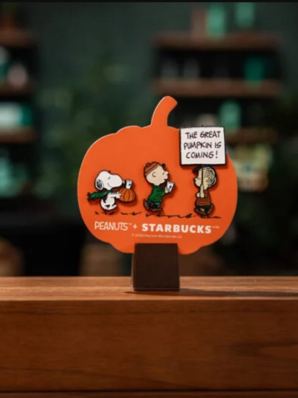 Deadstock Starbucks x Peanuts Snoopy 2026 Limited Edition Bundle of 6 NEW - Picture 3 of 16